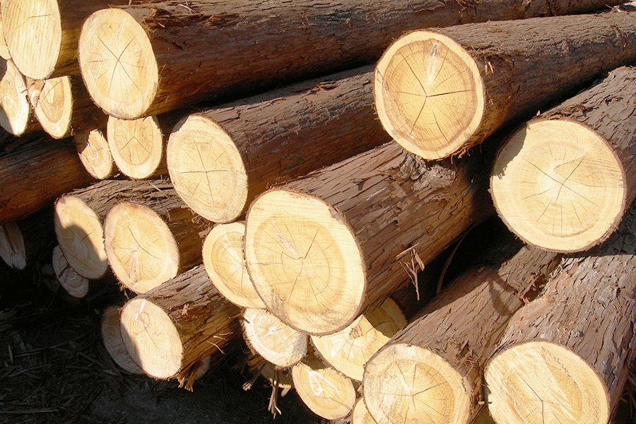 檜材
